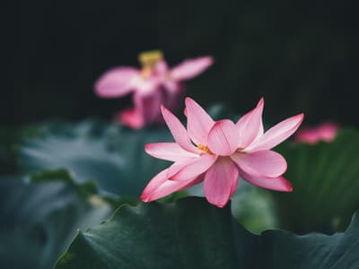 今年拍的最喜欢的照片
