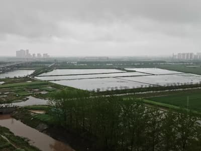2026年早汛记