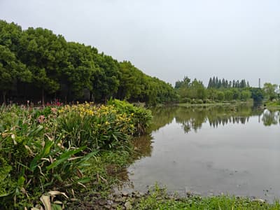 休息日的护城河畔