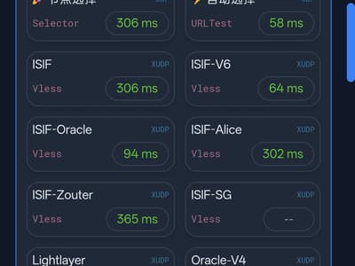 龟壳 IPv6 的意外惊喜