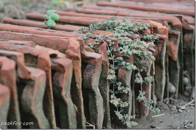 请输入图片描述