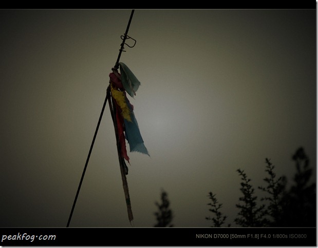 请输入图片描述