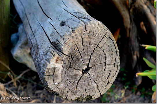 请输入图片描述