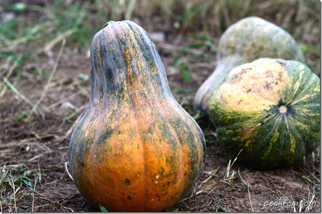 请输入图片描述