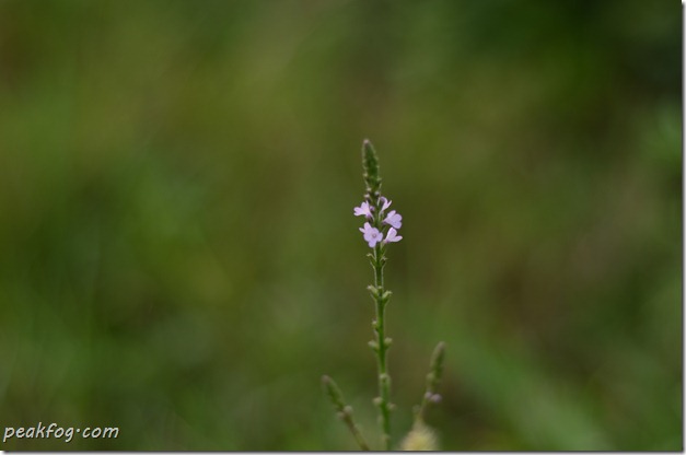 请输入图片描述 请输入图片描述