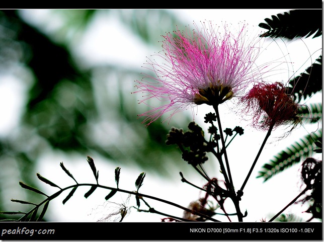 请输入图片描述