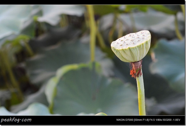 请输入图片描述