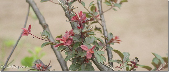 请输入图片描述