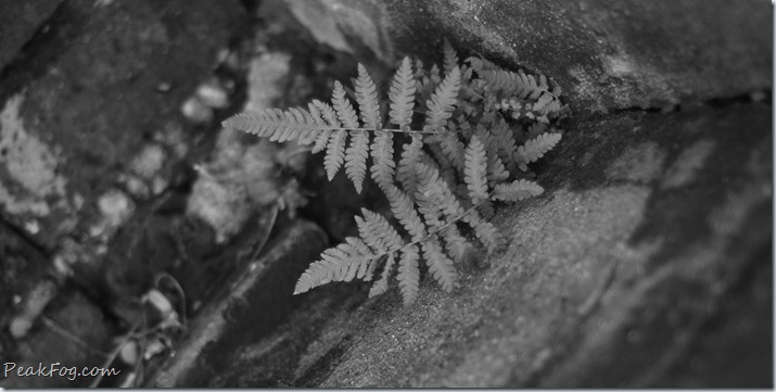 请输入图片描述