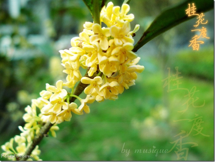 请输入图片描述