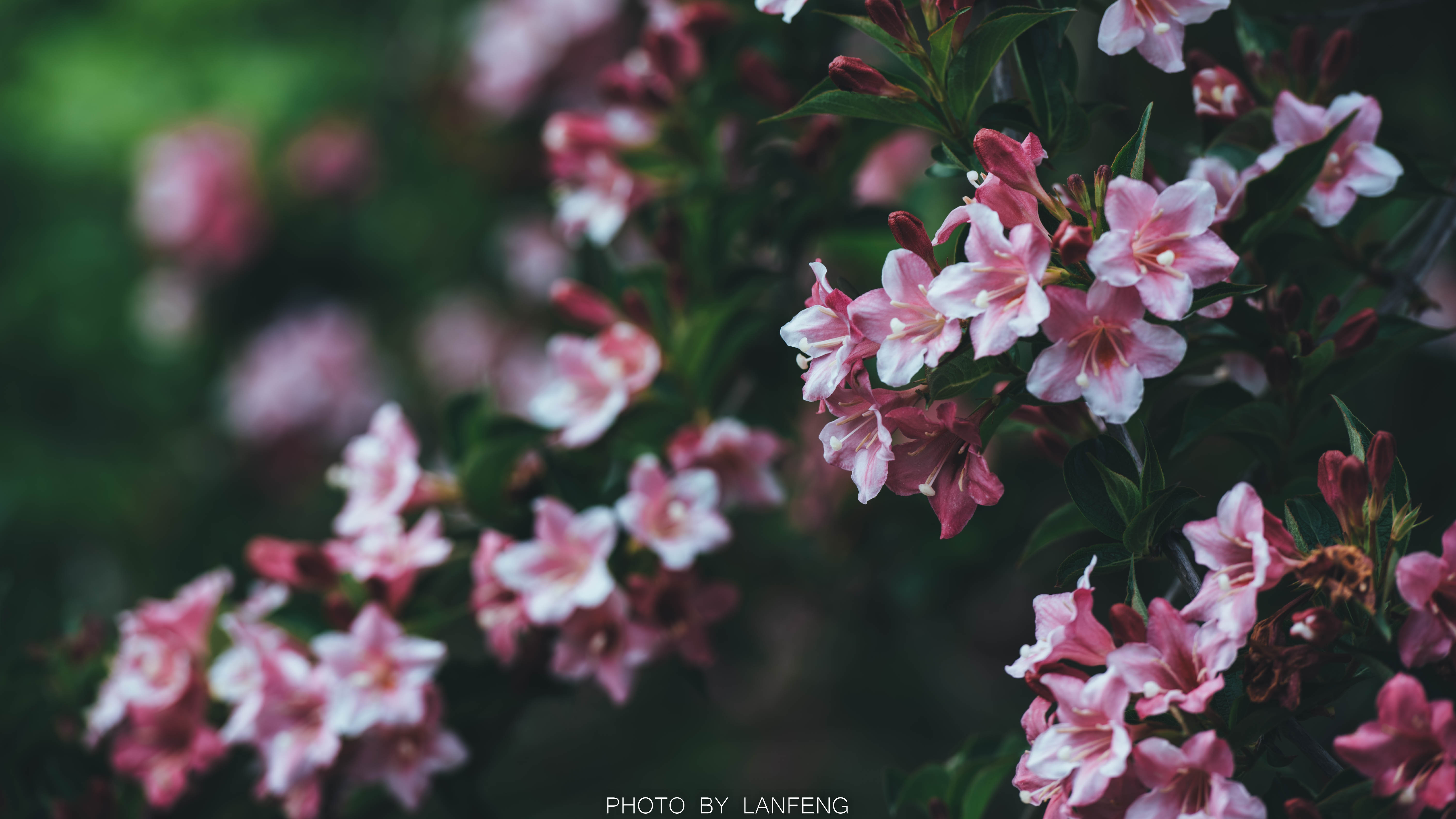 AD1_7871.jpg AD1_7871.jpg