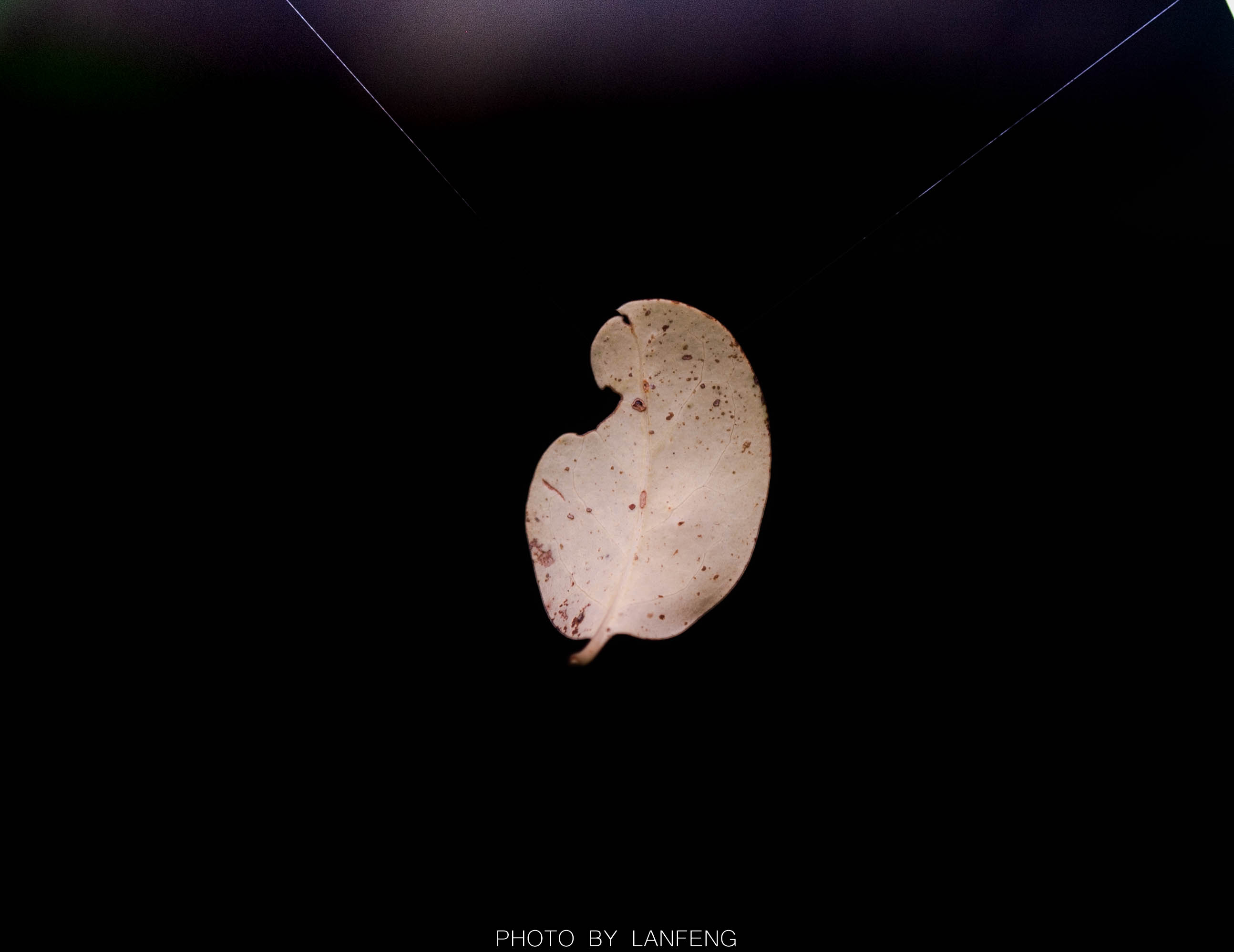 AD1_8098.jpg AD1_8098.jpg