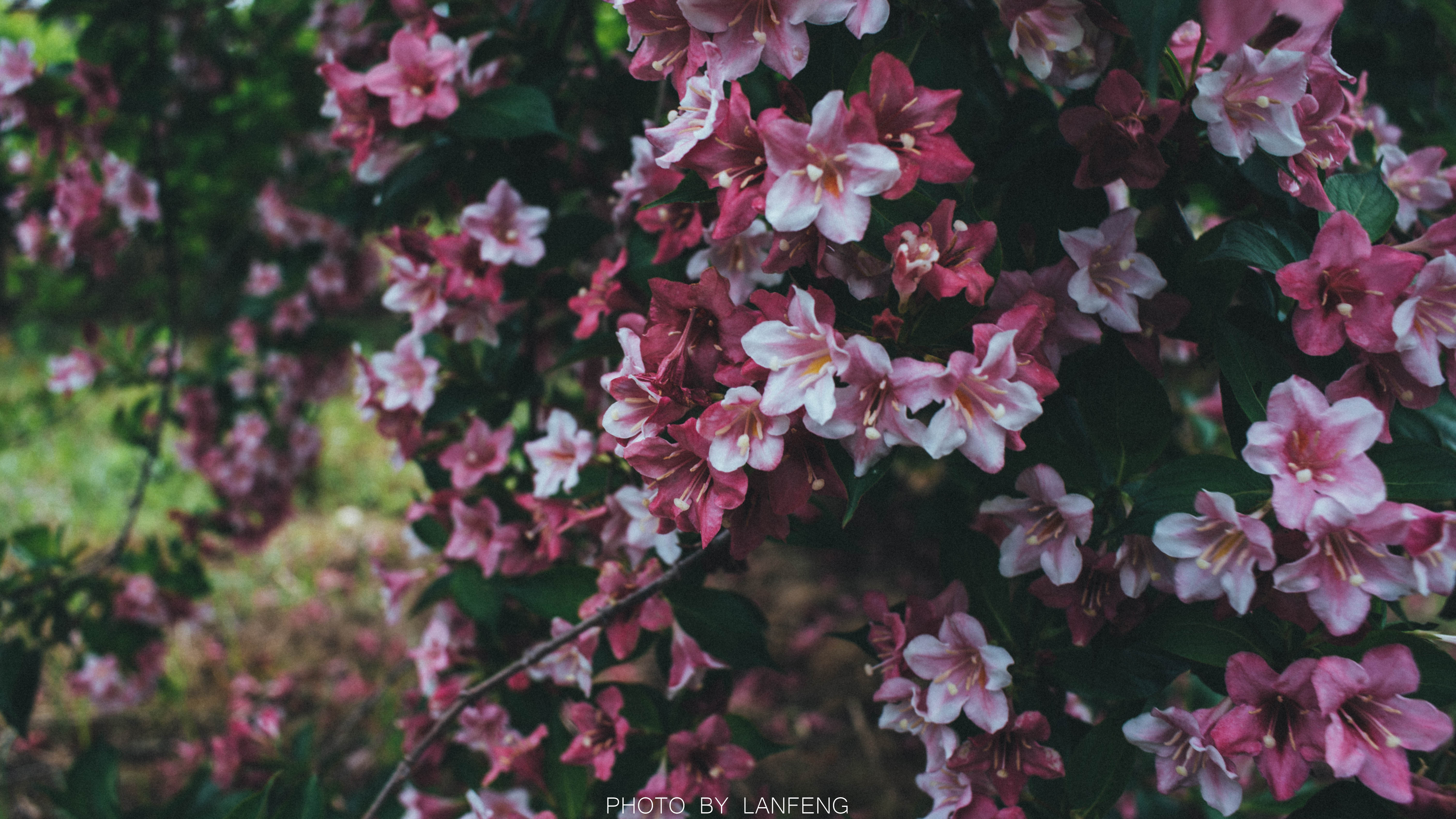 AD1_7876.jpg AD1_7876.jpg