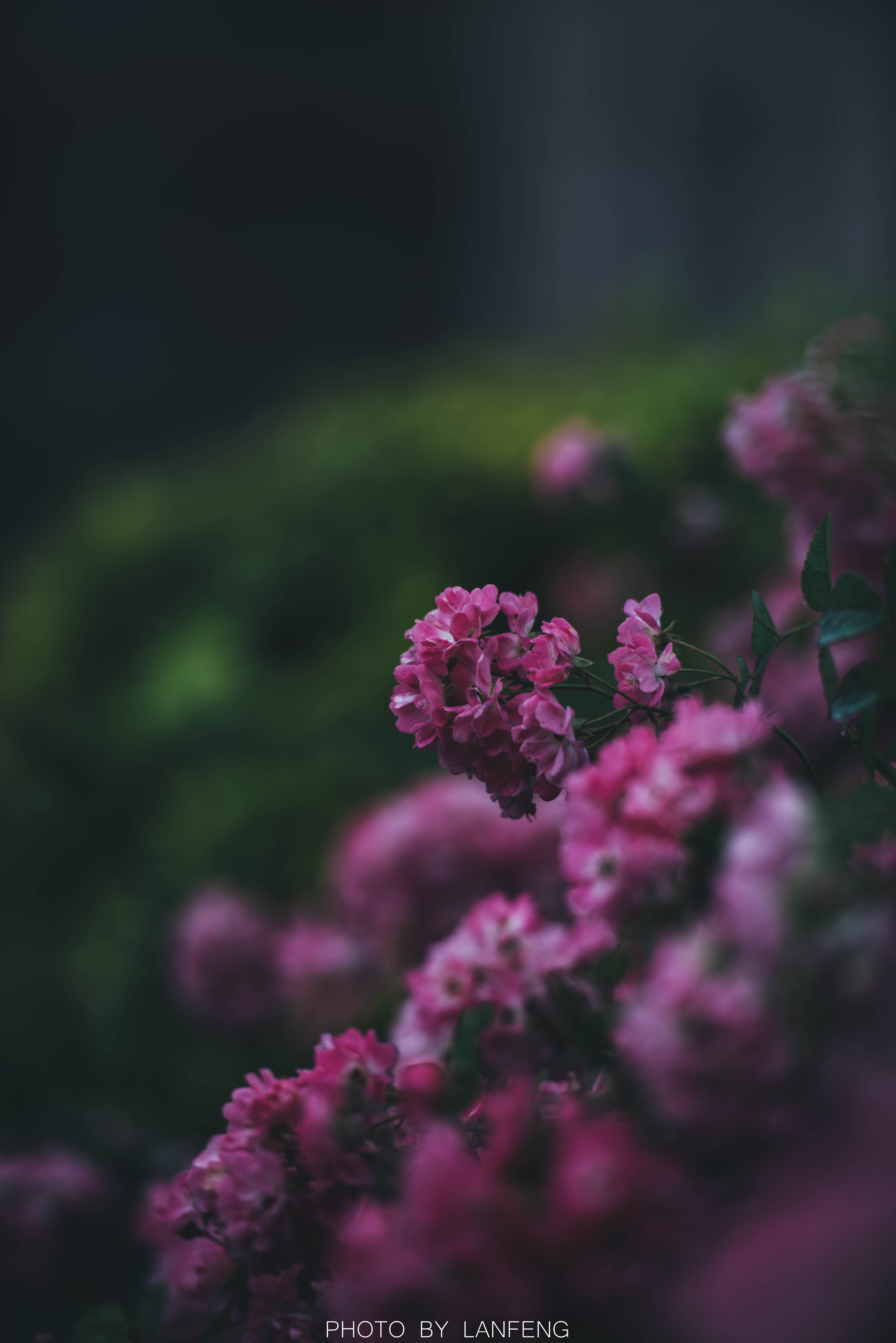 AD1_8075.jpg AD1_8075.jpg