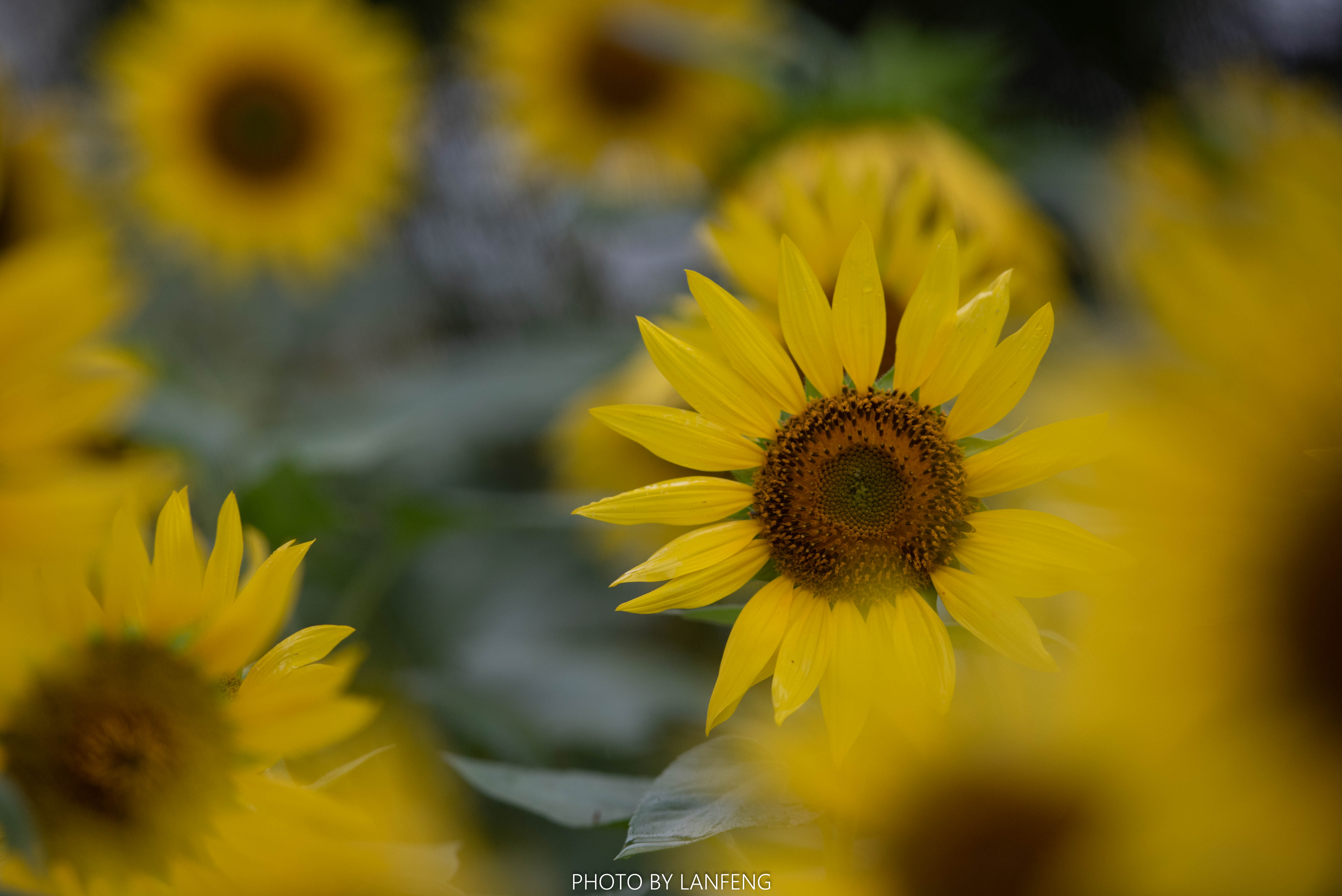 AD1_9318.jpg AD1_9318.jpg