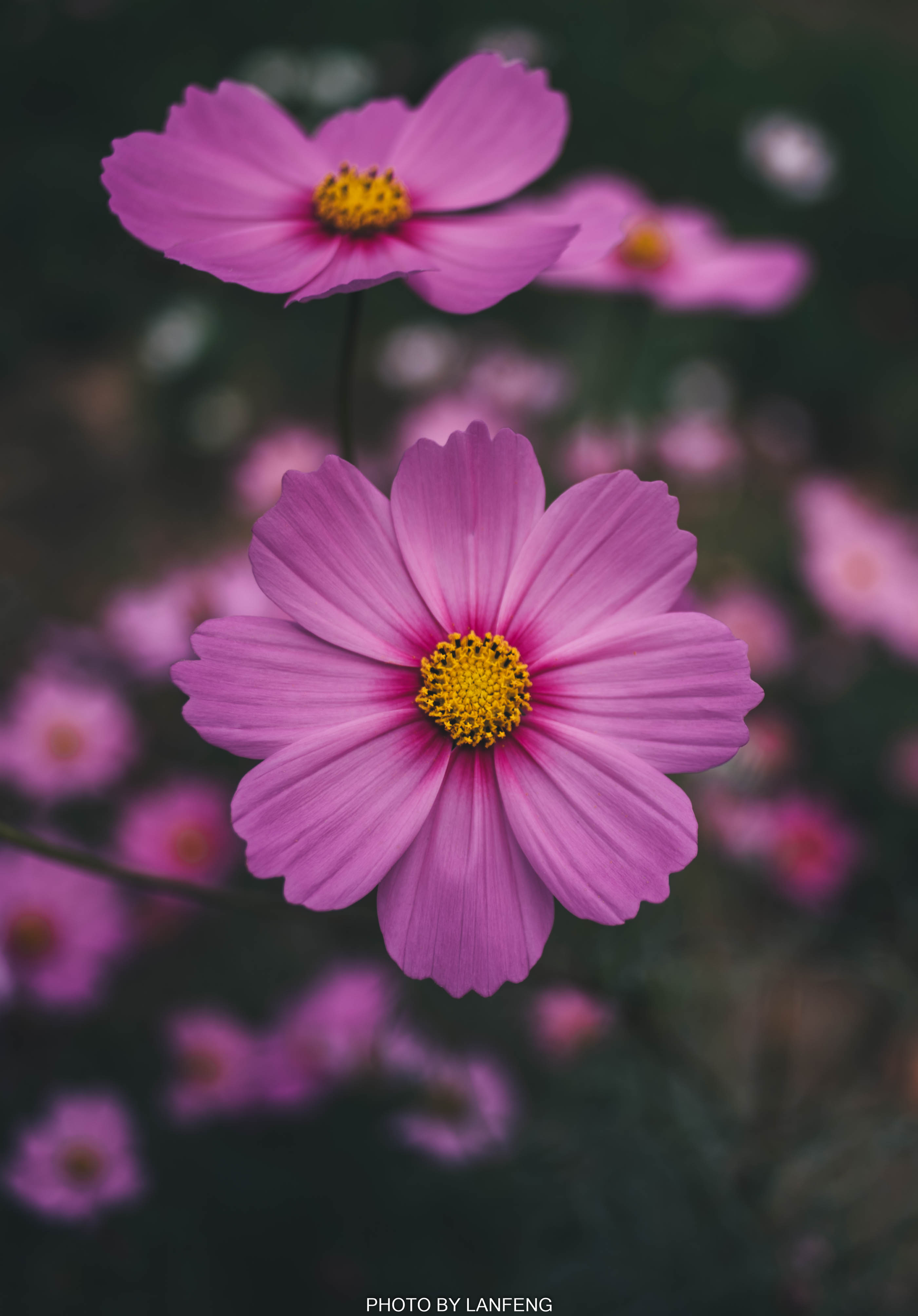 AD1_9566.jpg AD1_9566.jpg