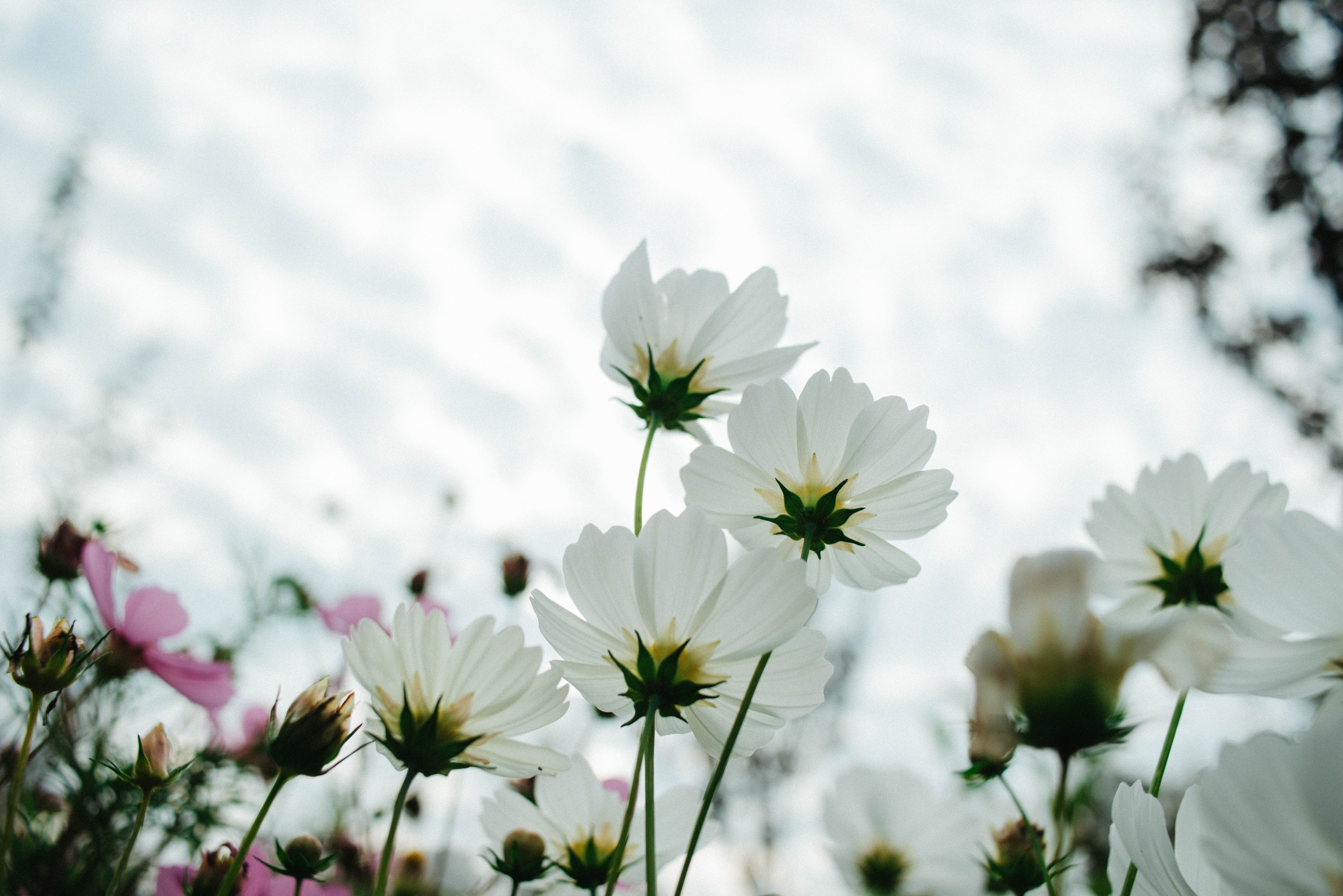 AD1_9467.jpg AD1_9467.jpg