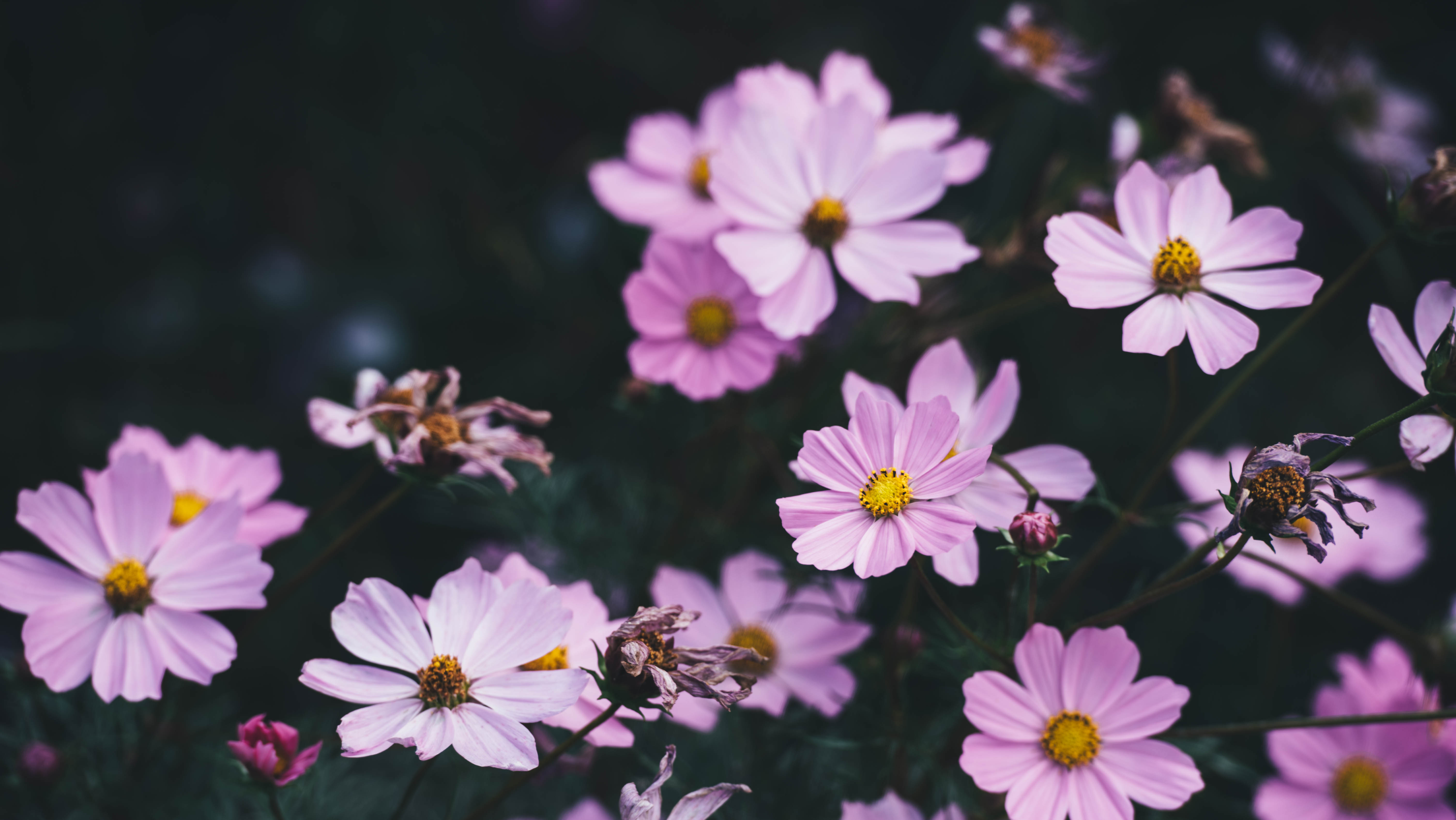 AD1_9468.jpg AD1_9468.jpg