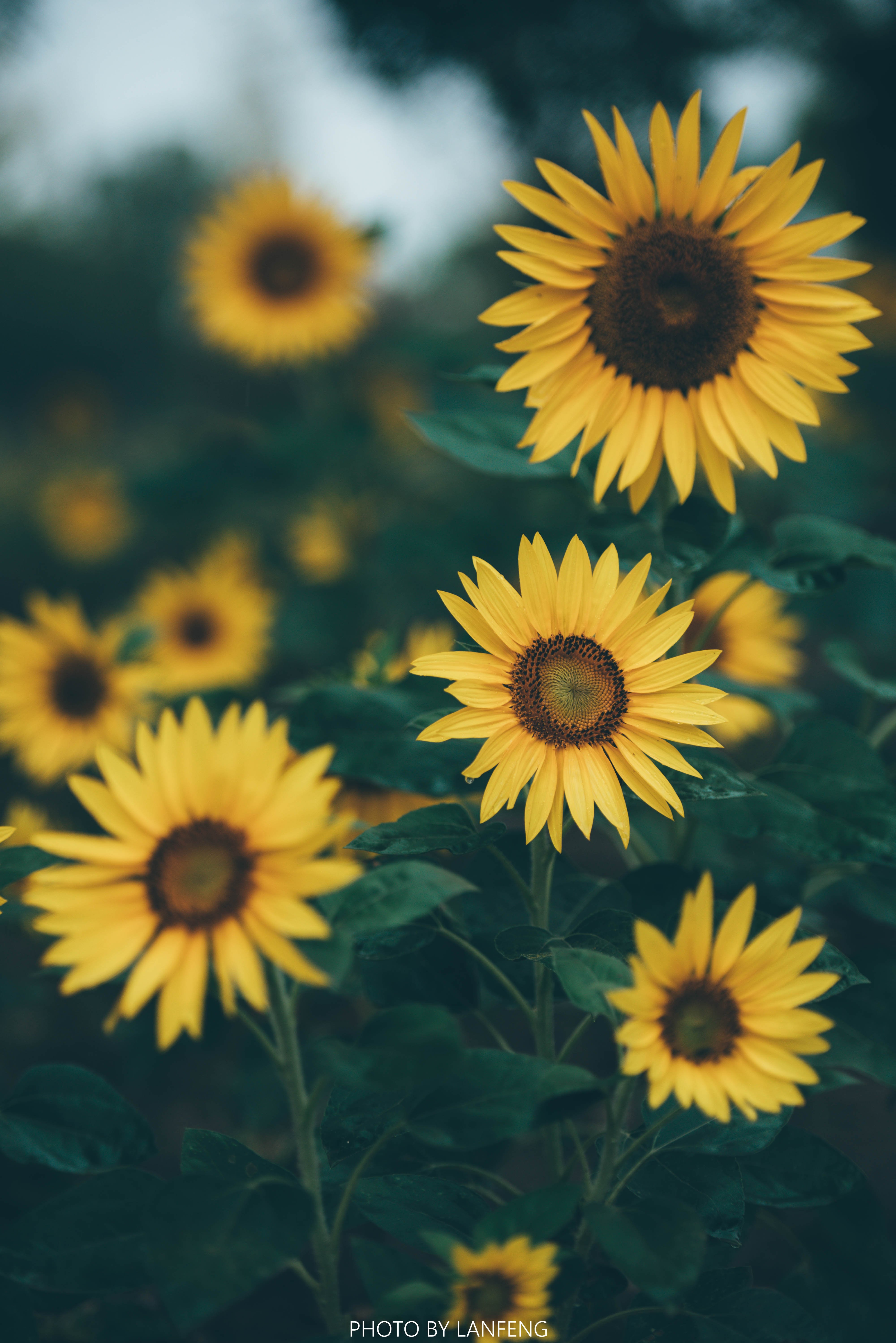 AD1_9347.jpg AD1_9347.jpg