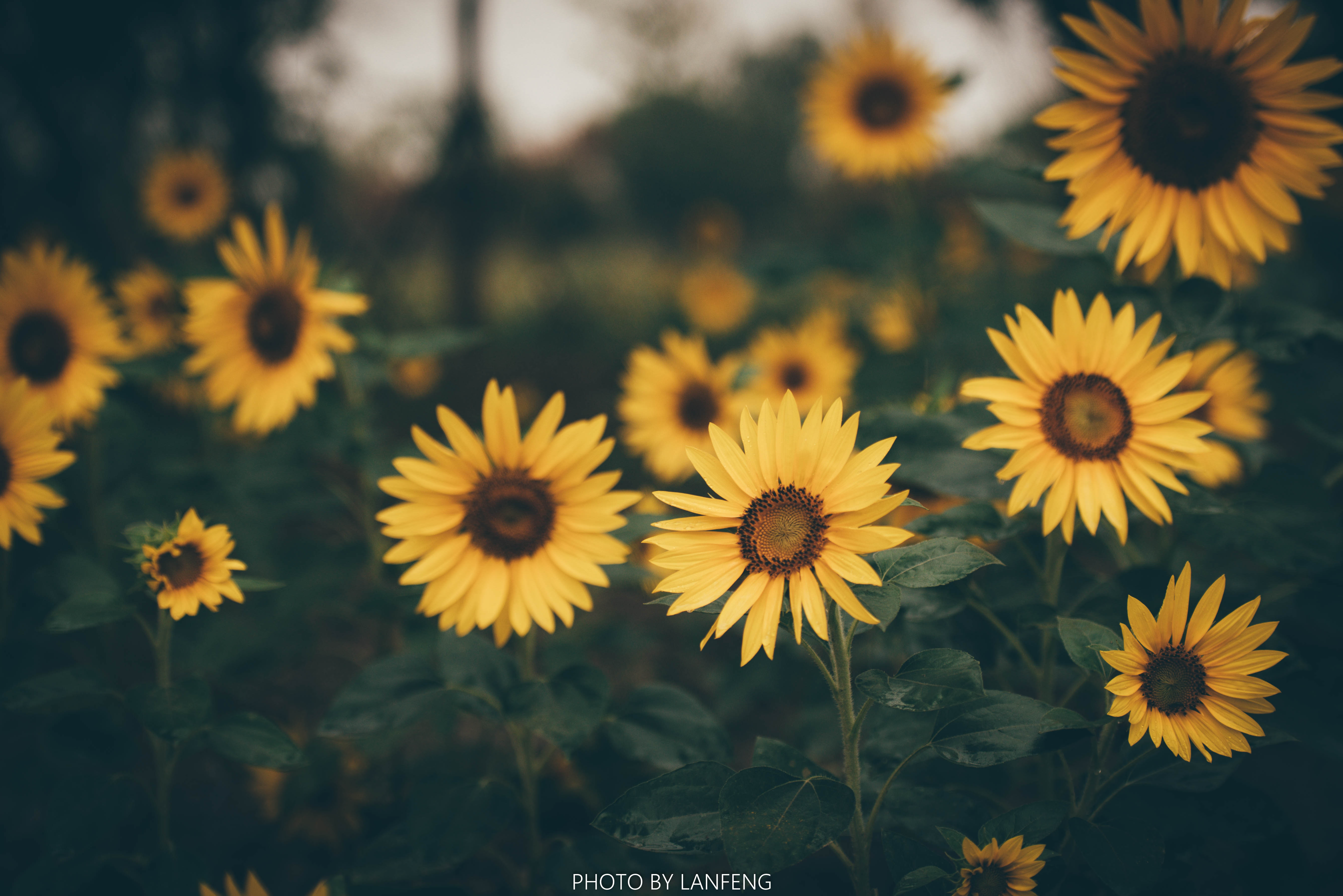 AD1_9349.jpg AD1_9349.jpg