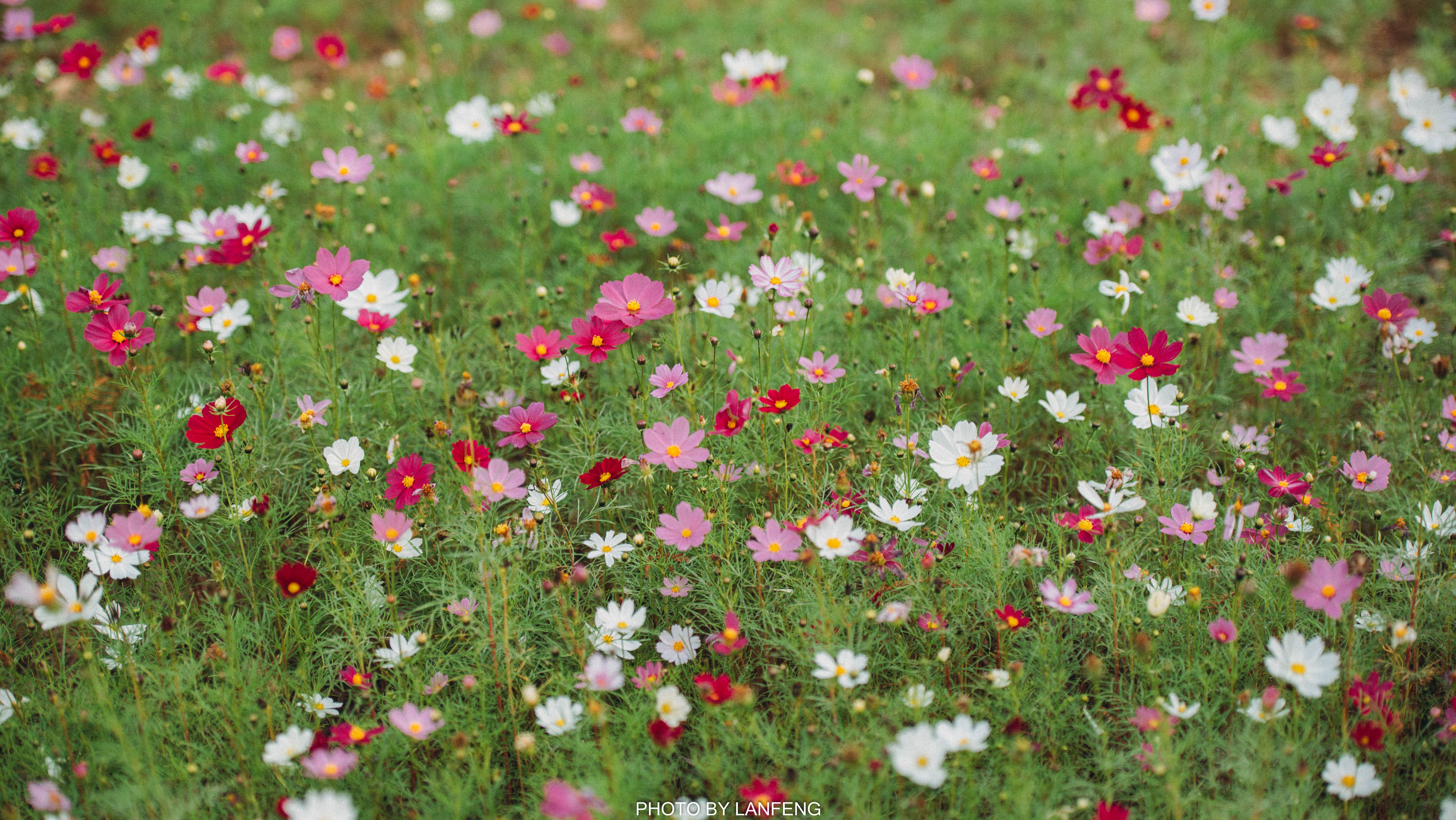 AD1_9523.jpg AD1_9523.jpg