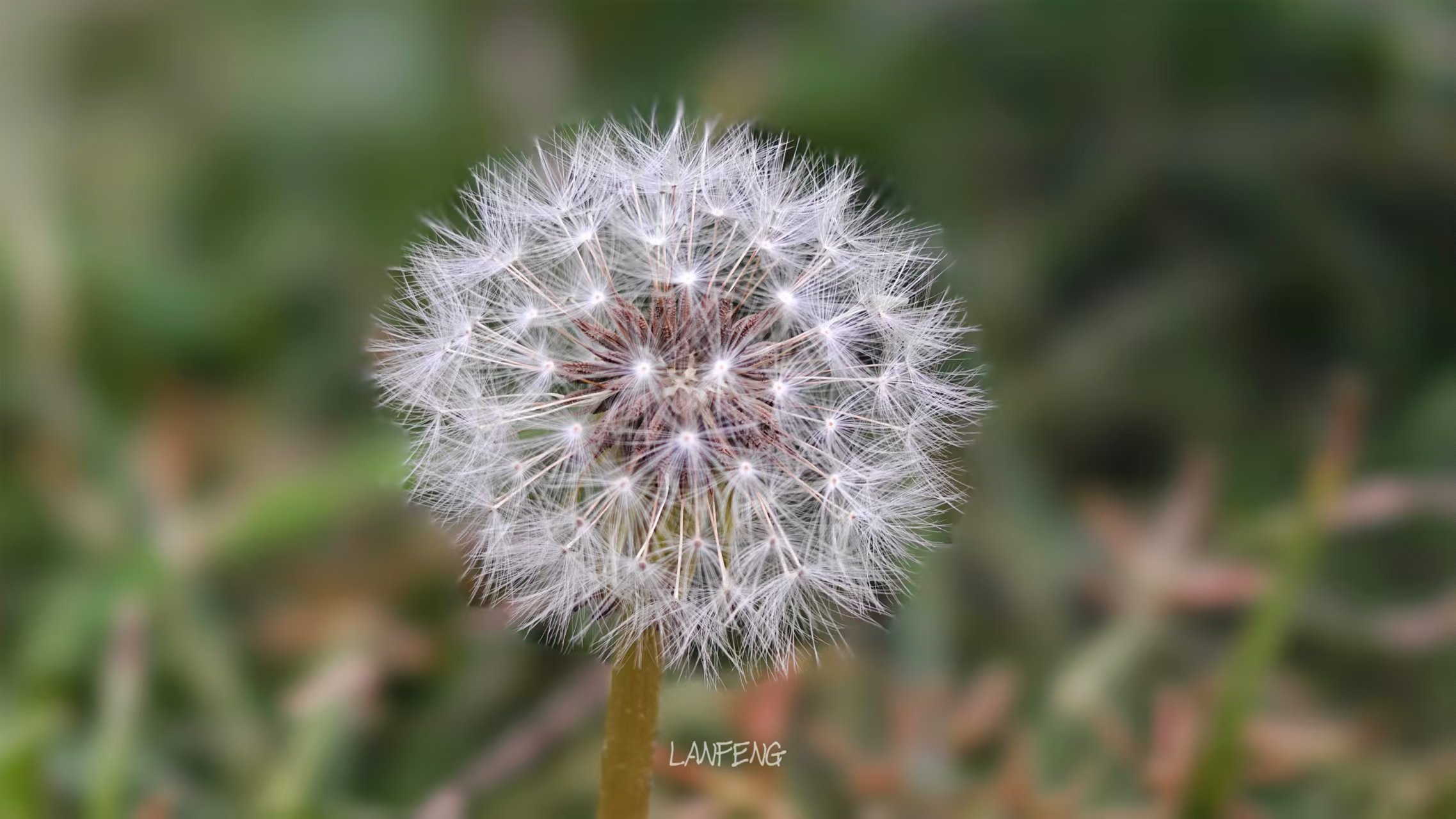 微信图片_20241112214927.jpg 微信图片_20241112214927.jpg