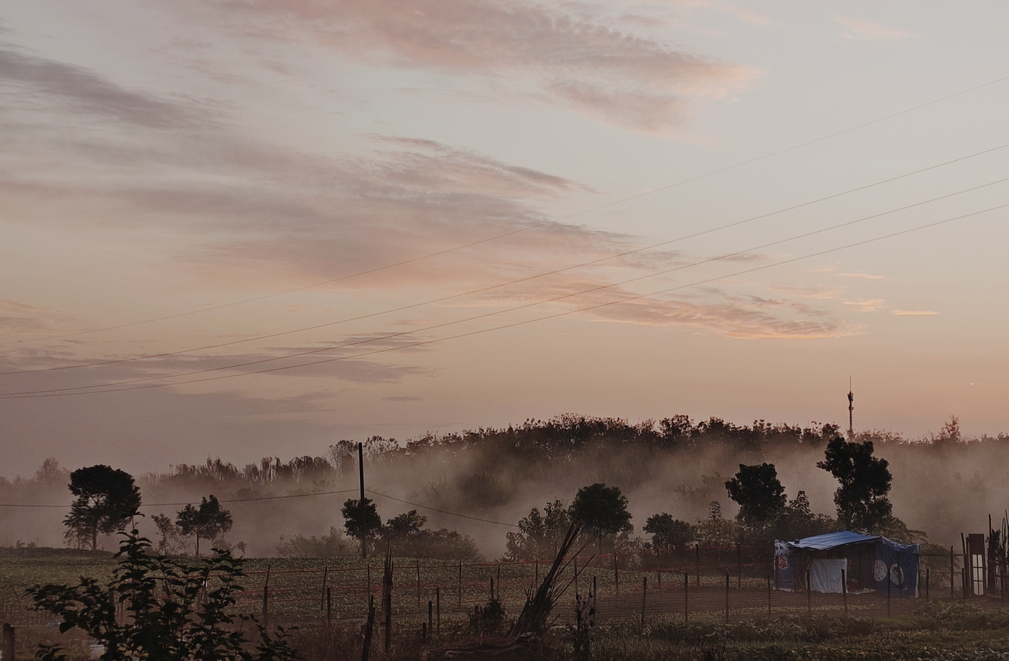 IMG_20241127_072949.jpg IMG_20241127_072949.jpg